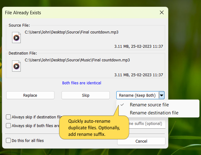自动重命名重复文件