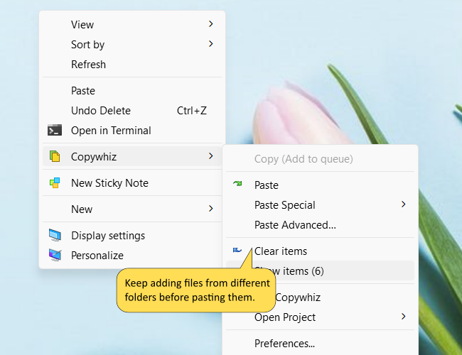 从多个文件夹中选取并复制文件