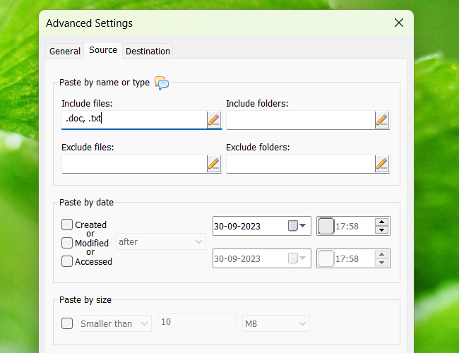 仅复制特定类型的文件或文件夹