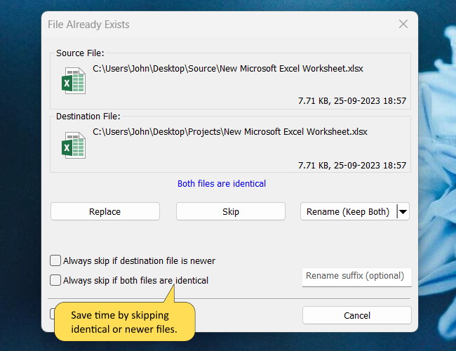 仅替换较新或不同的文件
